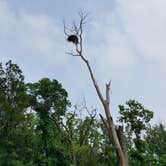 Review photo of Lake Darling State Park Campground by Molly L., June 30, 2019