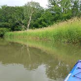 Review photo of Lake Darling State Park Campground by Molly L., June 30, 2019