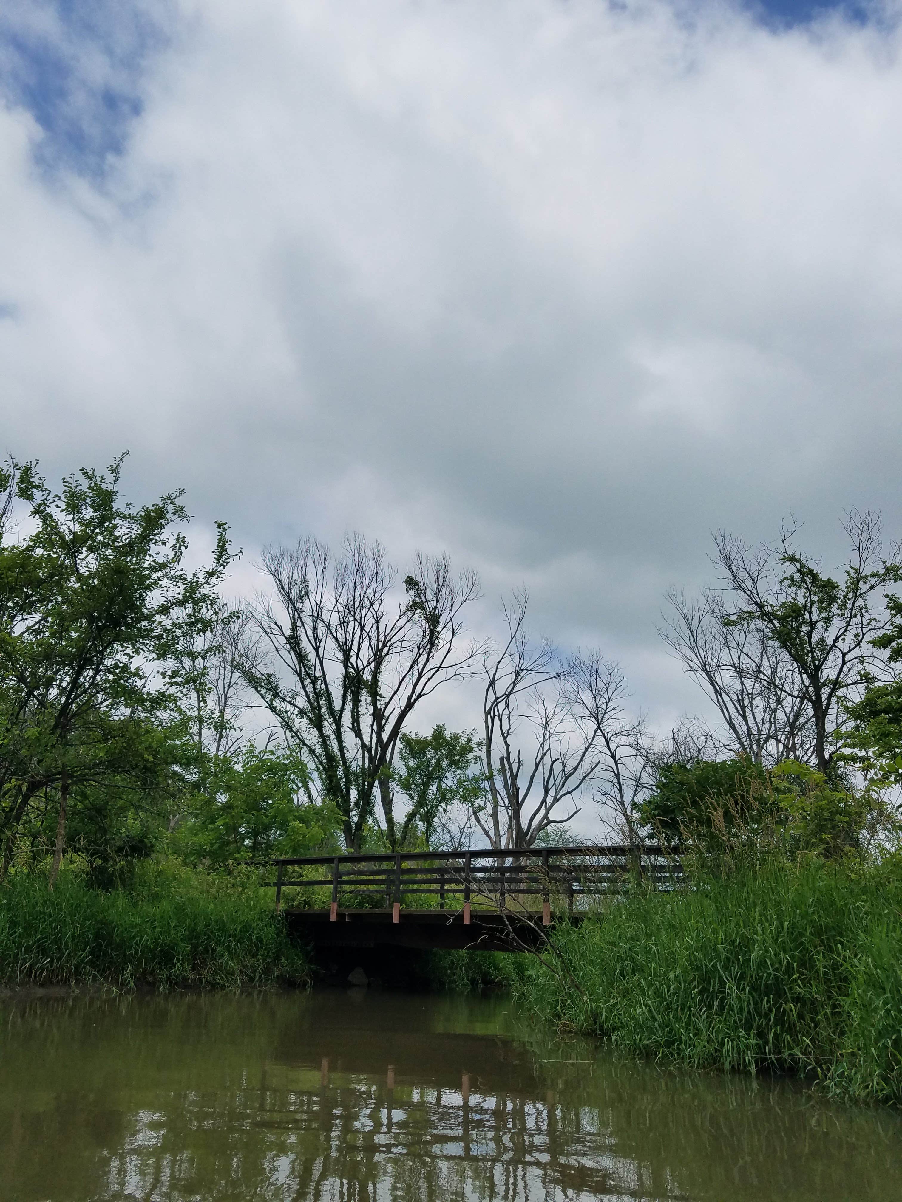 Camper submitted image from Lake Darling State Park Campground - 5