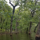 Review photo of Hermitage Area Campground — Pomme de Terre State Park by Lauri C., June 30, 2019