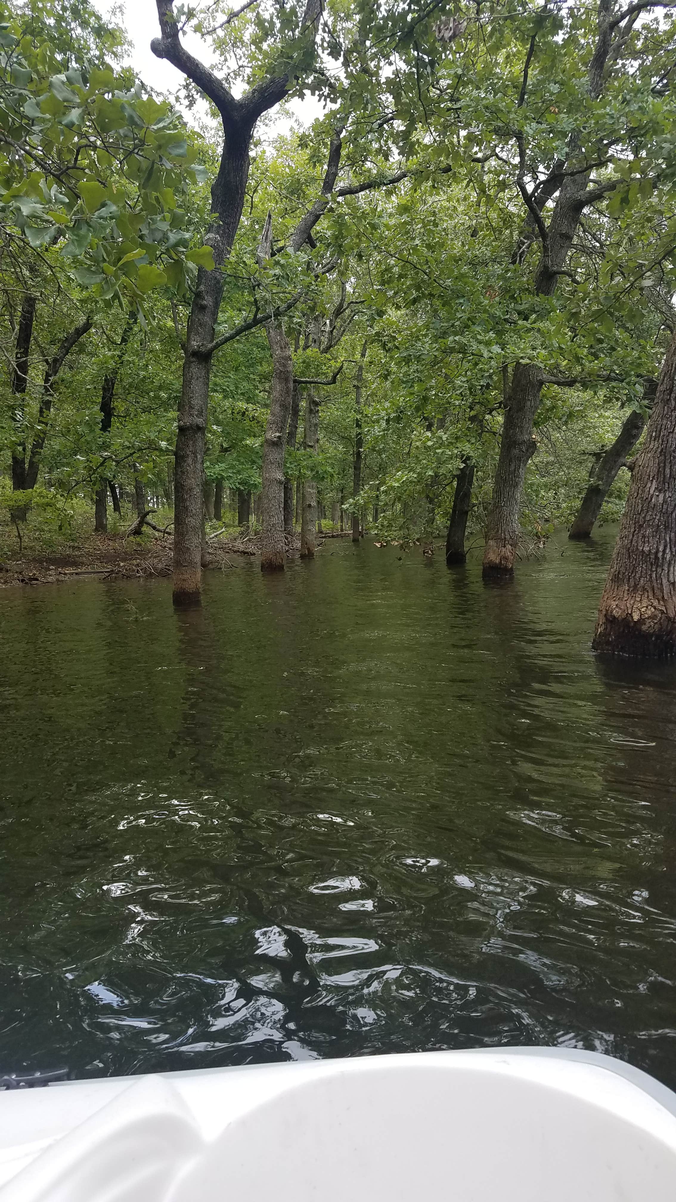 Escape to Nature's Playground: Missouri's Pittsburg Park (Pomme de Terre Lake)