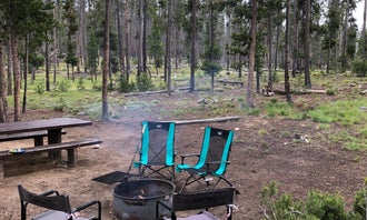 Camping near Glacier View Campground: Mount Heyburn Campground, Stanley, Idaho