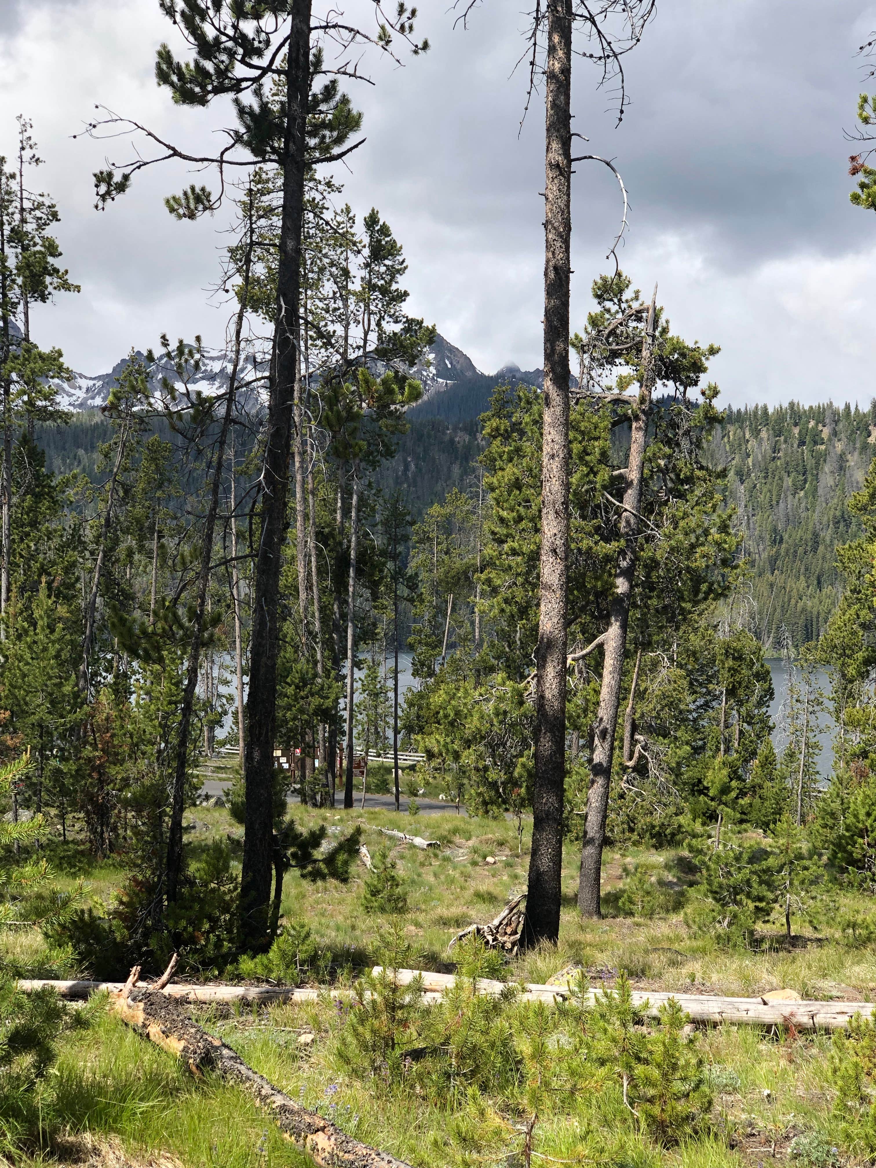 Camper-submitted photo at Mount Heyburn Campground near Sawtooth National Forest