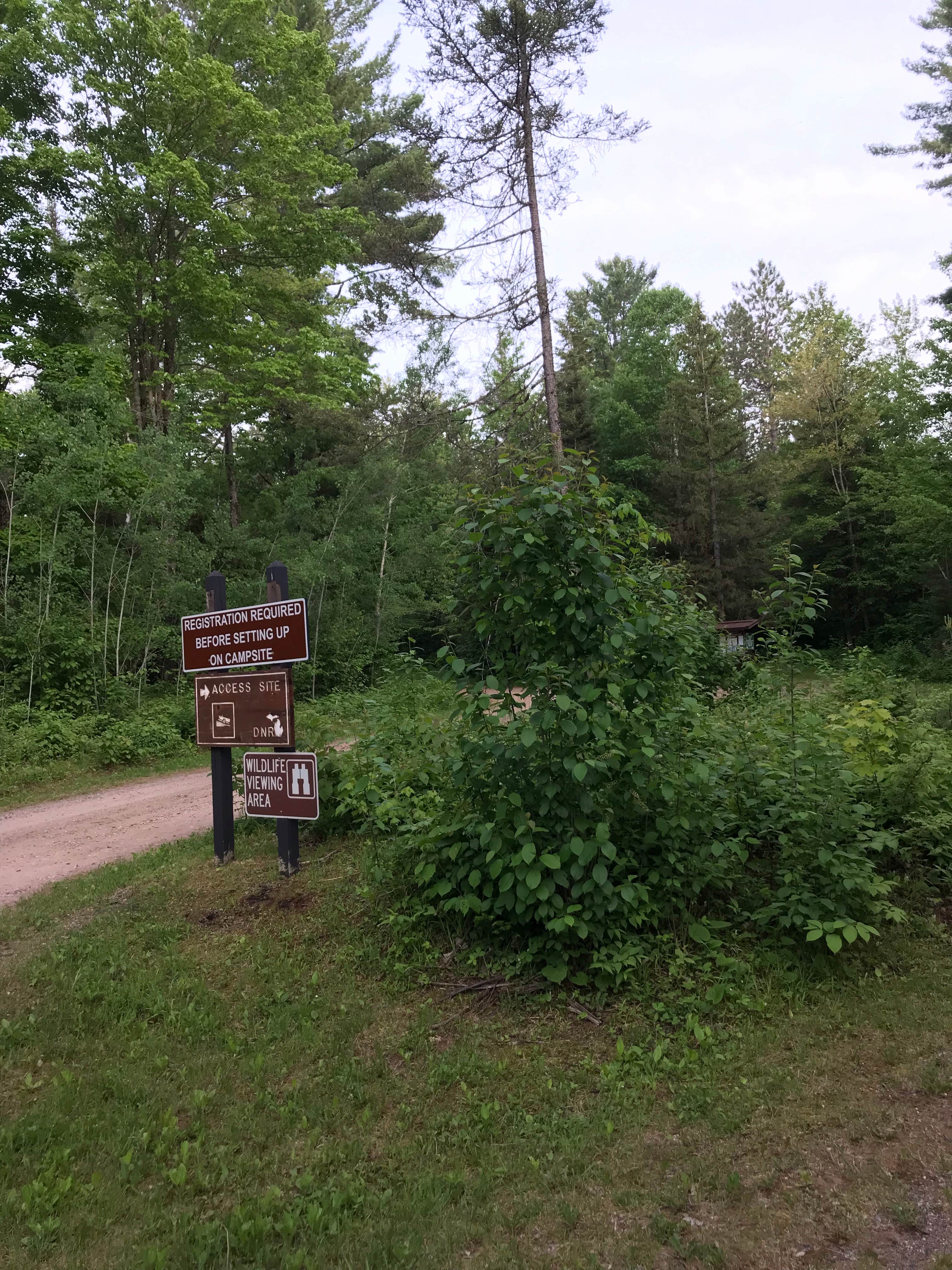 Camper submitted image from Genes Pond State Forest Campground - 4