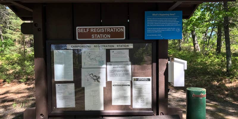 Camper submitted image from Big Lake Campground