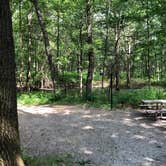 Review photo of Dunewood Campground — Indiana Dunes National Park by Tiffany B., June 30, 2019