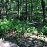 Review photo of Dunewood Campground — Indiana Dunes National Park by Tiffany B., June 30, 2019