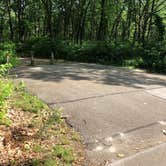 Review photo of Dunewood Campground — Indiana Dunes National Park by Tiffany B., June 30, 2019