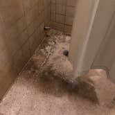 Review photo of Dunewood Campground — Indiana Dunes National Park by Tiffany B., June 30, 2019