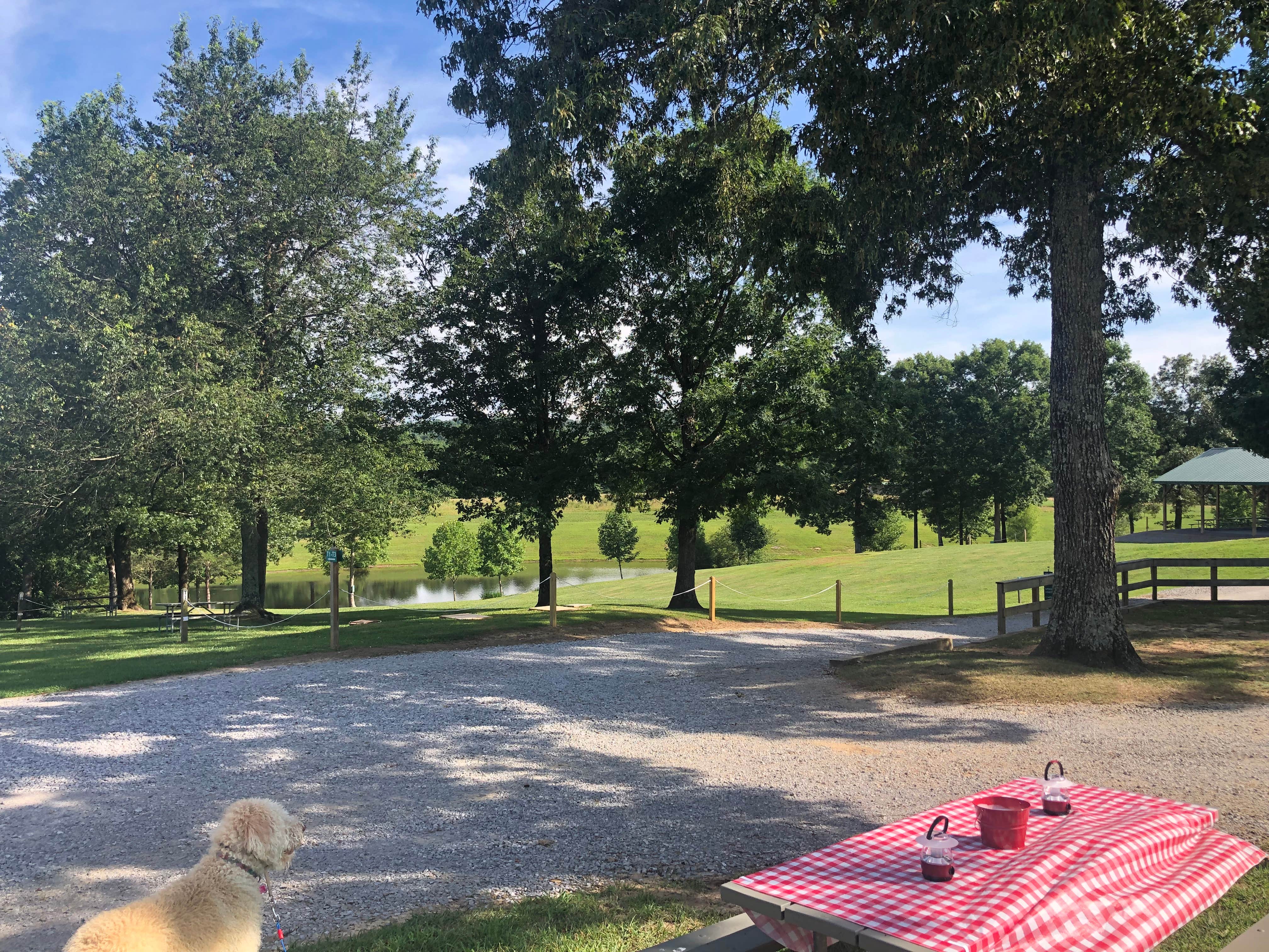 Jessica N.'s photo of camping with pets at Mountain Glen RV Park & Campground near Sale Creek, TN