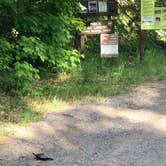 Review photo of Lake Ste. Kathryn Campground by Randall J., June 30, 2019