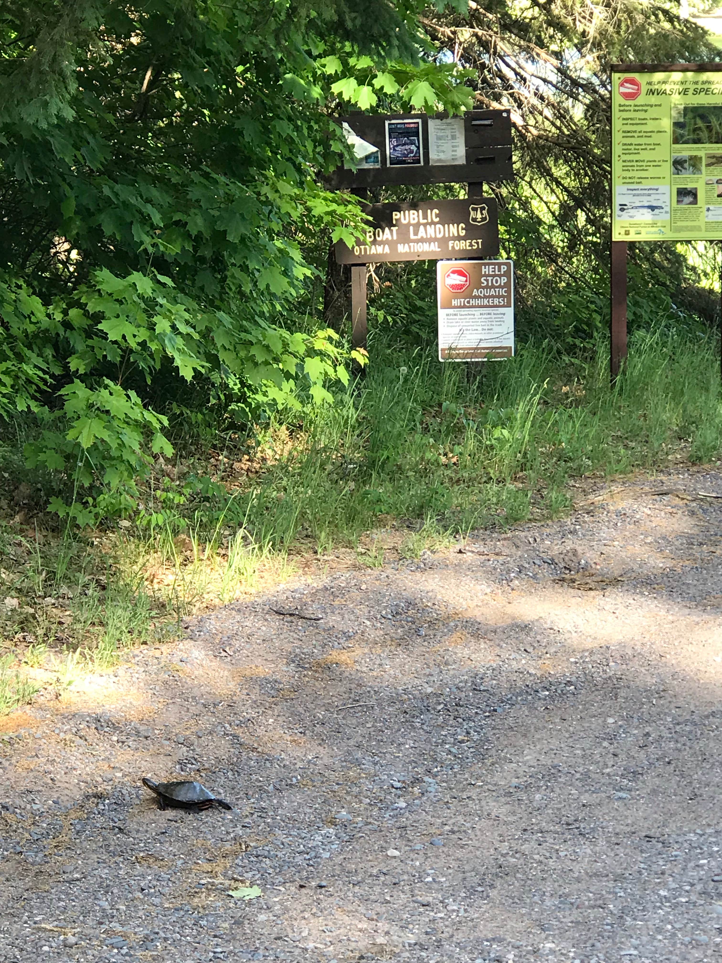 Camper submitted image from Lake Ste. Kathryn Campground - 1