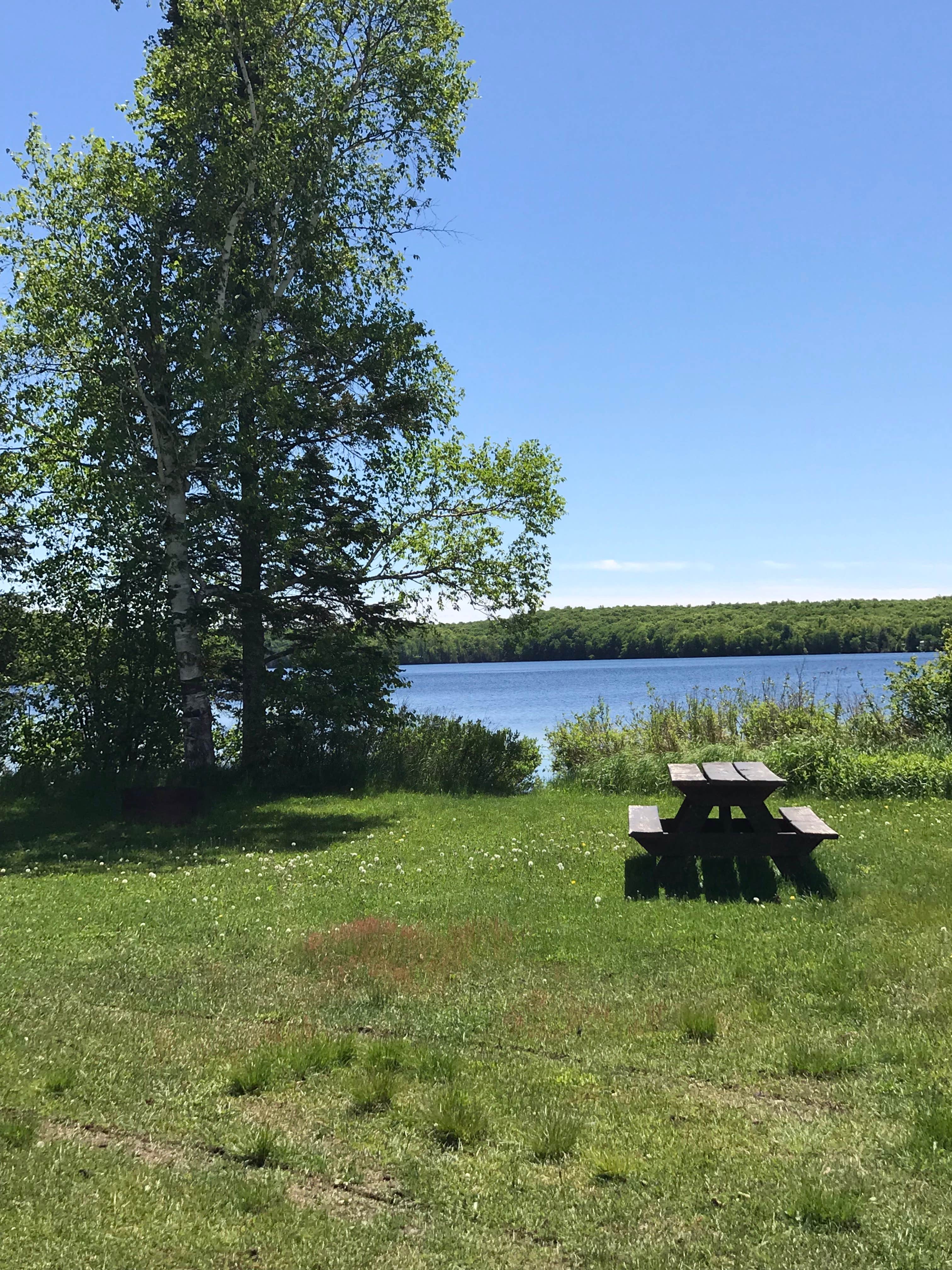 Camper submitted image from Beaufort Lake State Forest Campground - 4