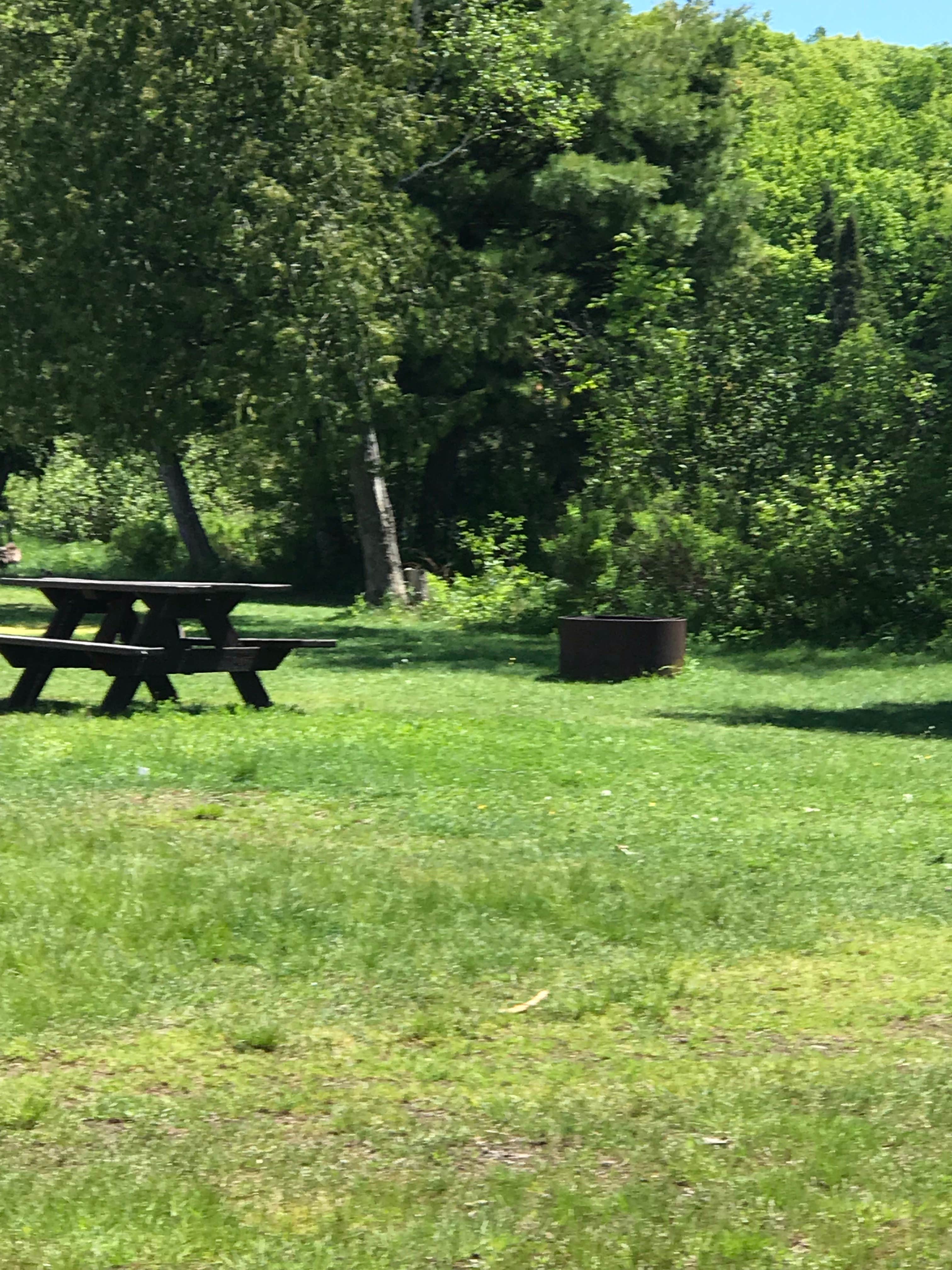 Camper submitted image from Beaufort Lake State Forest Campground - 2