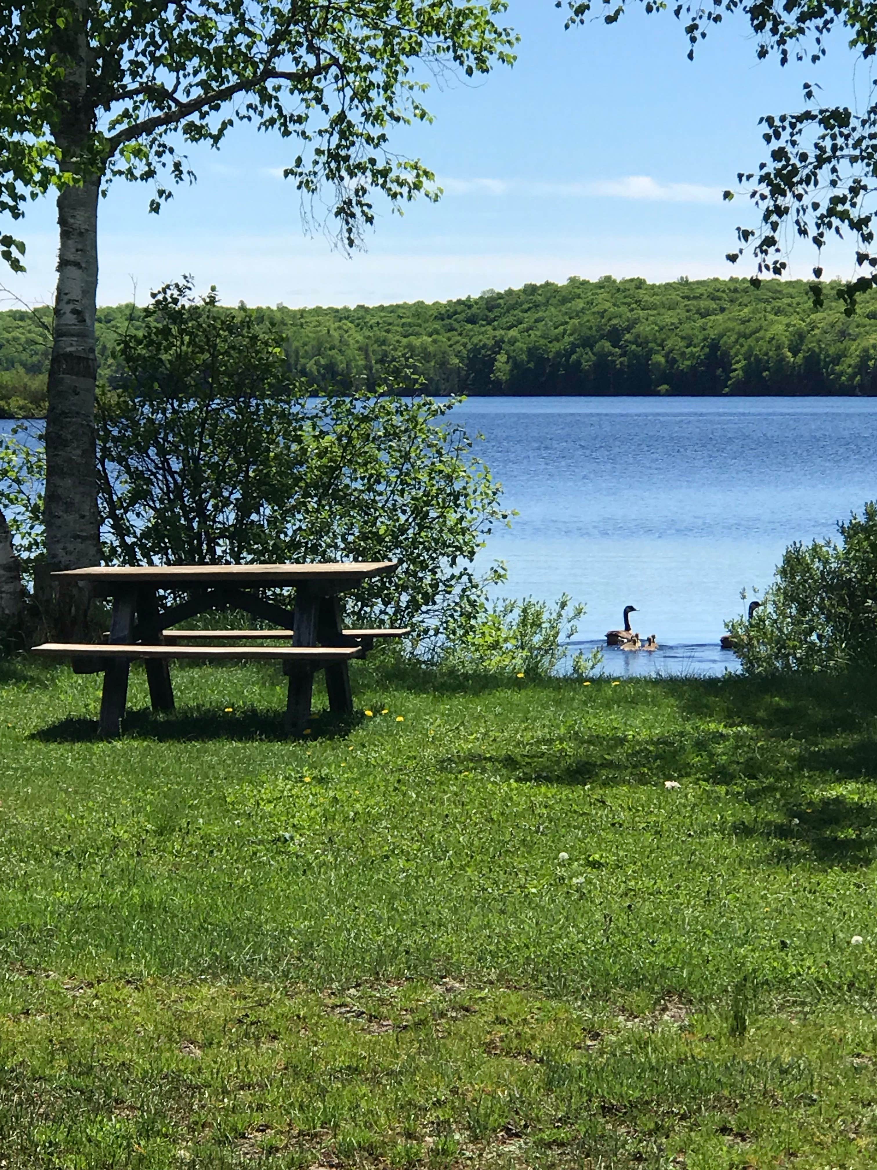 Camper submitted image from Beaufort Lake State Forest Campground - 3