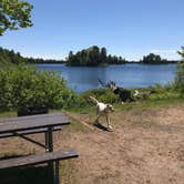 Review photo of King Lake State Forest Campground by Randall J., June 30, 2019