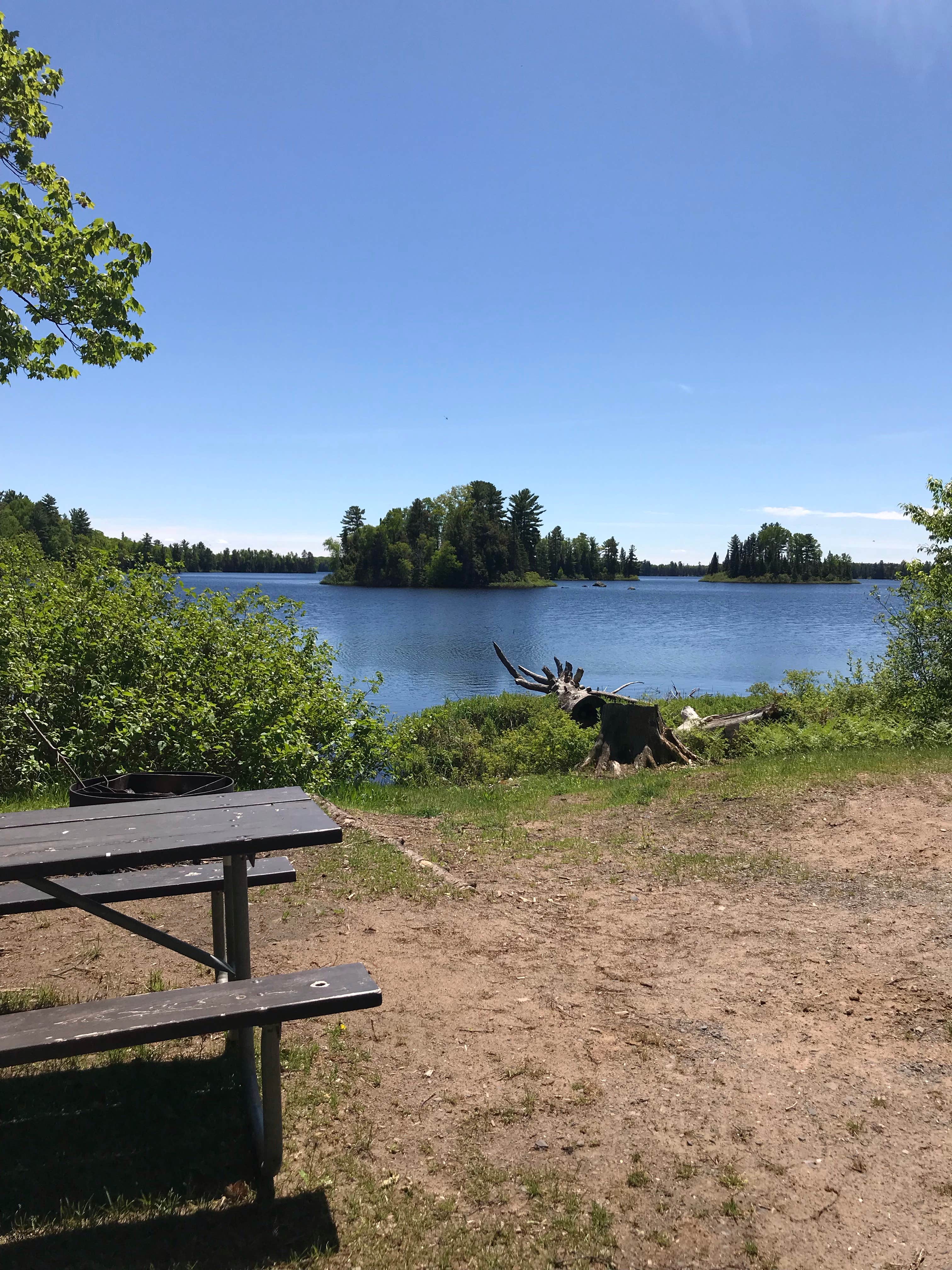 Camper submitted image from King Lake State Forest Campground - 5