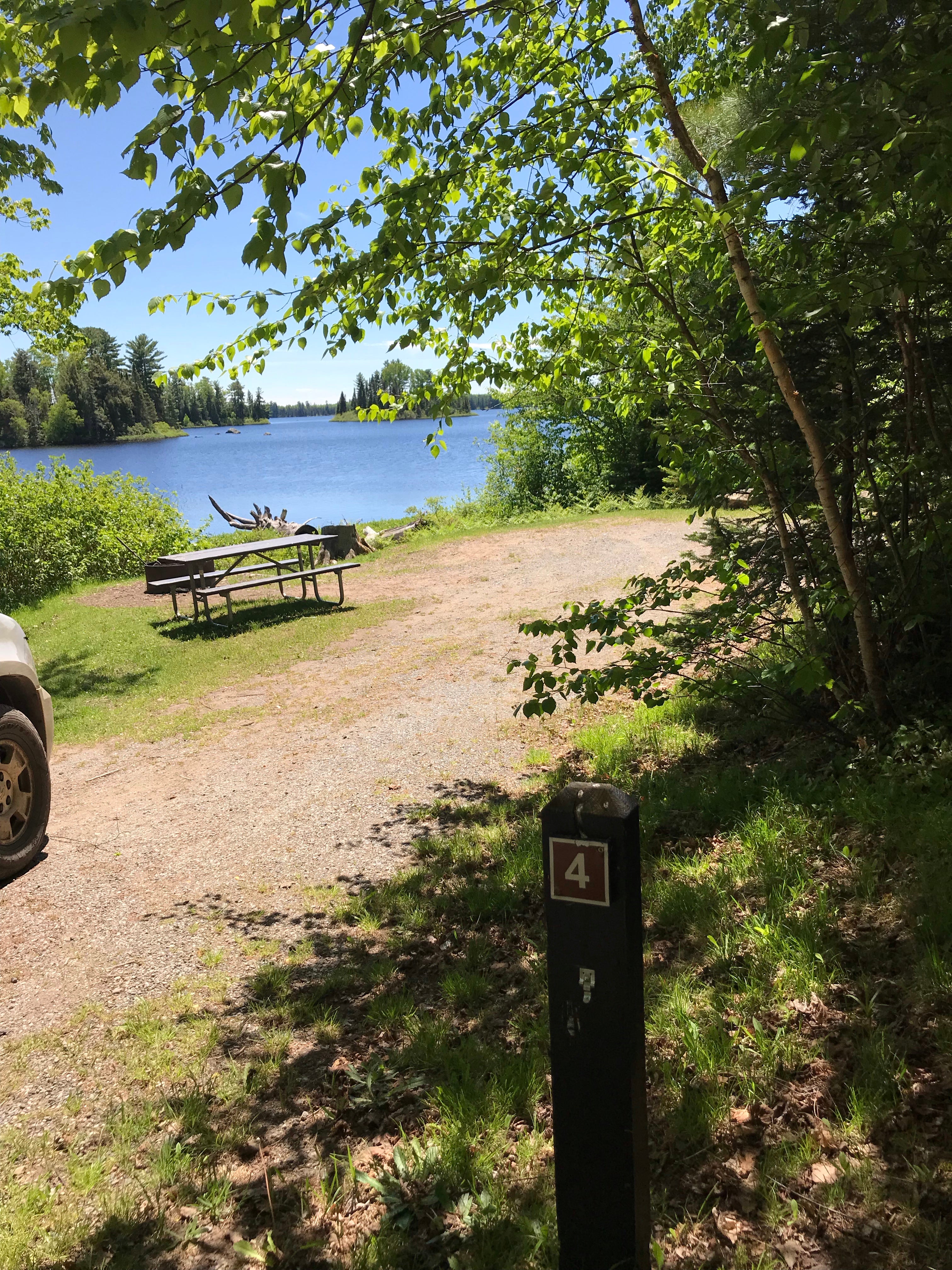 Camper submitted image from King Lake State Forest Campground - 5