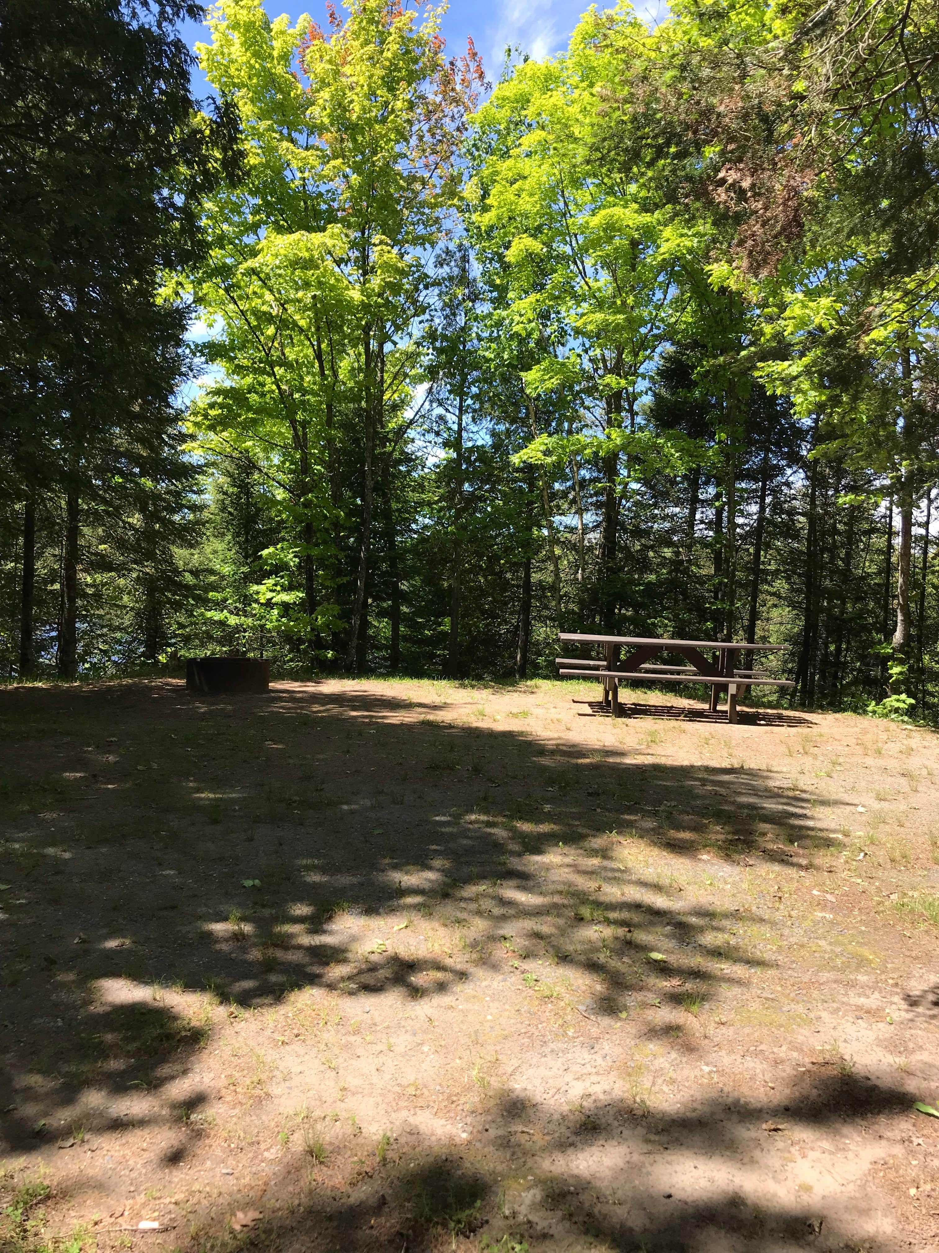 Camper submitted image from King Lake State Forest Campground - 3