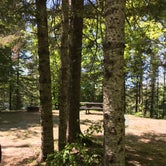 Review photo of King Lake State Forest Campground by Randall J., June 30, 2019