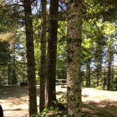 Review photo of King Lake State Forest Campground by Randall J., June 30, 2019