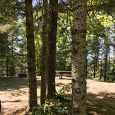 Review photo of Michigamme Shores Campground by Randall J., June 30, 2019