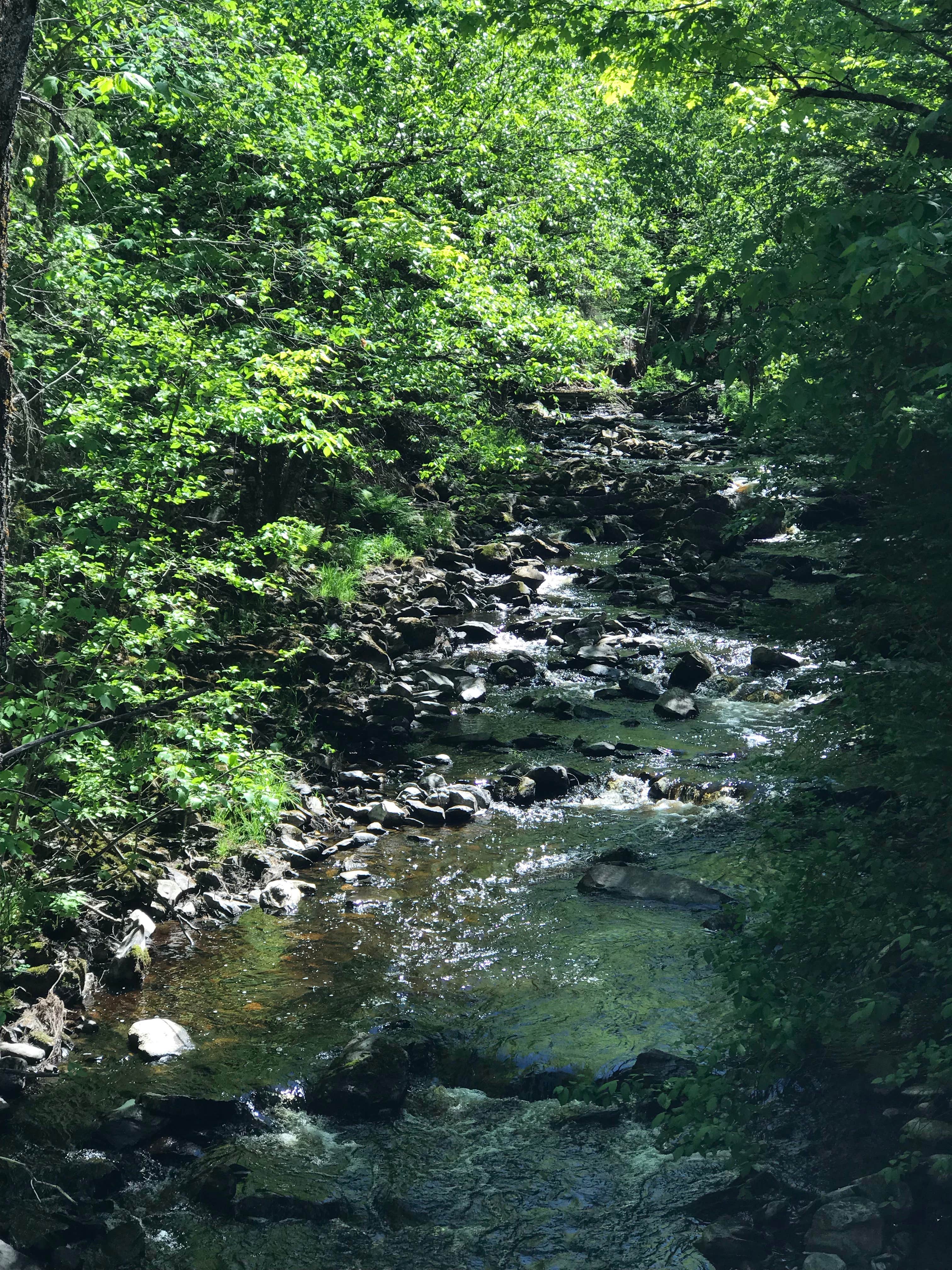 Camper-submitted photo at Michigamme Shores Campground near Big Bay, MI