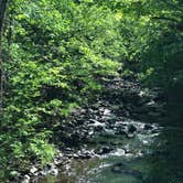 Review photo of Michigamme Shores Campground by Randall J., June 30, 2019