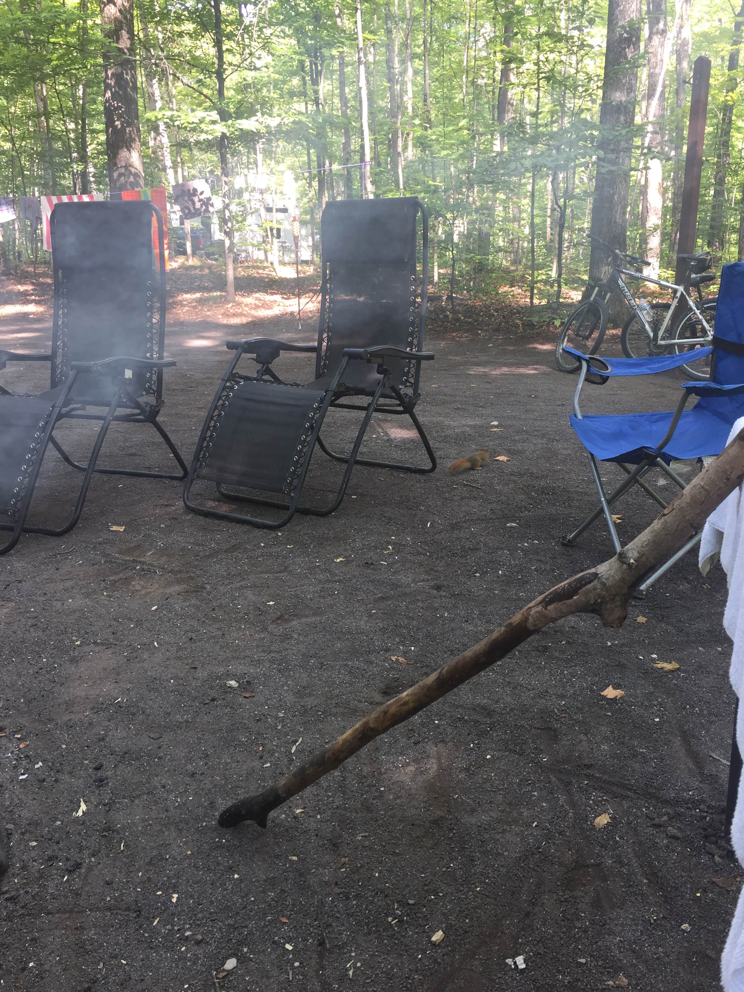 Camper submitted image from Michigamme Shores Campground - 5