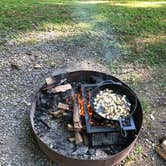 Review photo of Tygart Lake State Park Campground by David F., June 30, 2019