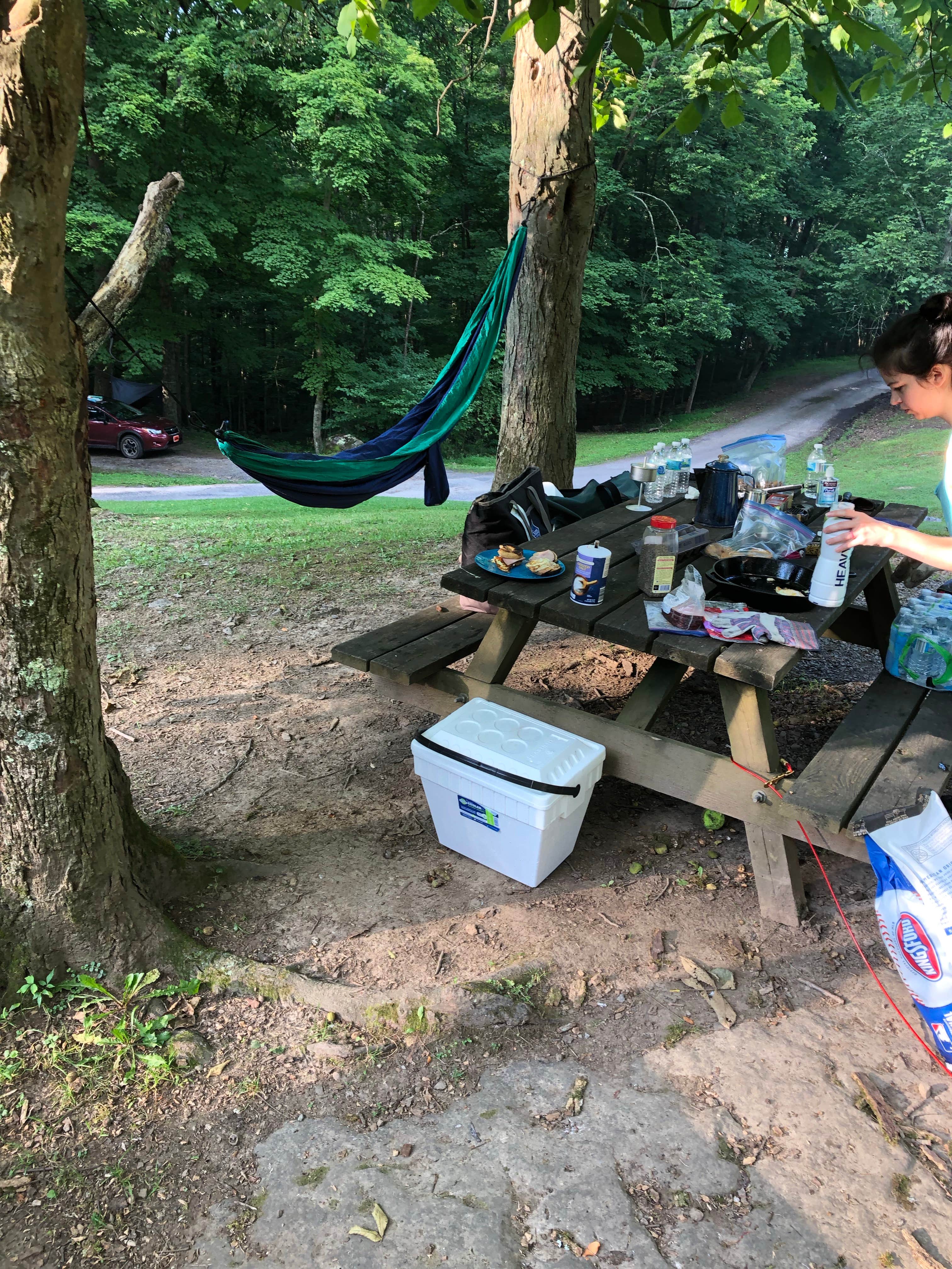 David F.'s photo at Tygart Lake State Park Campground near Maidsville, WV