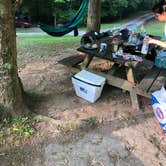 Review photo of Tygart Lake State Park Campground by David F., June 30, 2019