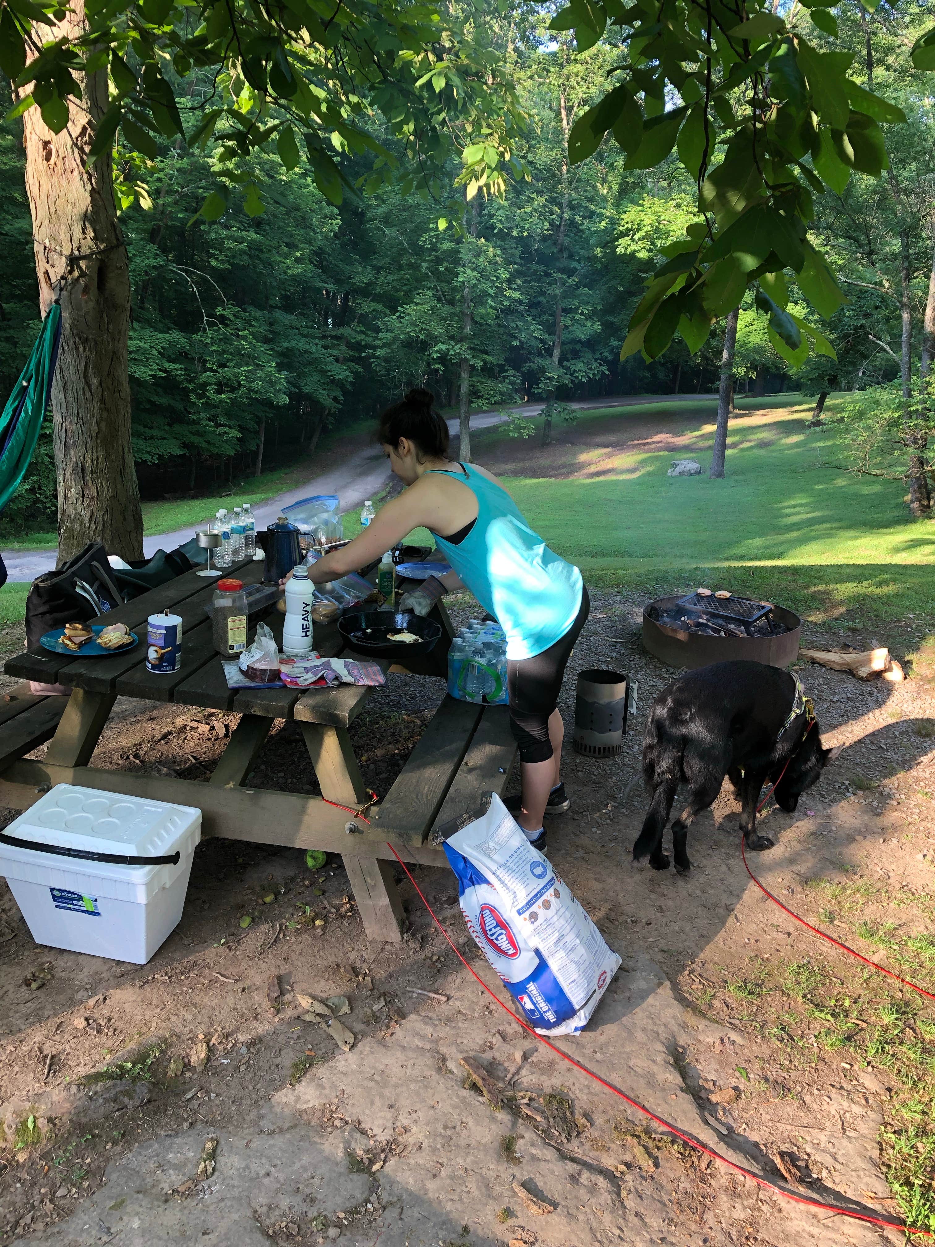David F.'s photo at Tygart Lake State Park Campground near Cassville, WV