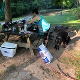 Review photo of Tygart Lake State Park Campground by David F., June 30, 2019