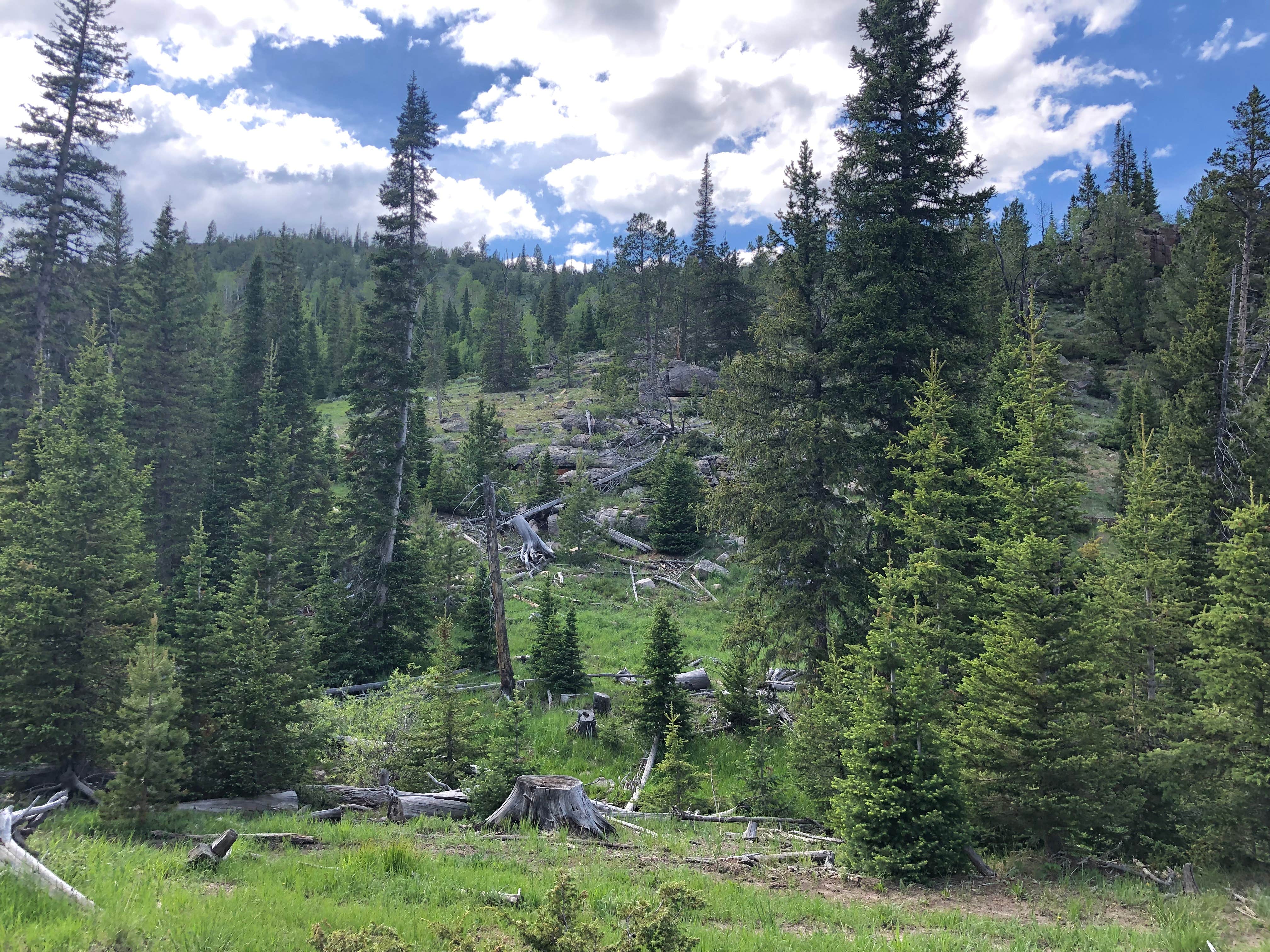 Camper submitted image from La Prele Guard Station - 5