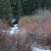Review photo of Alpine by Eva W., September 1, 2015