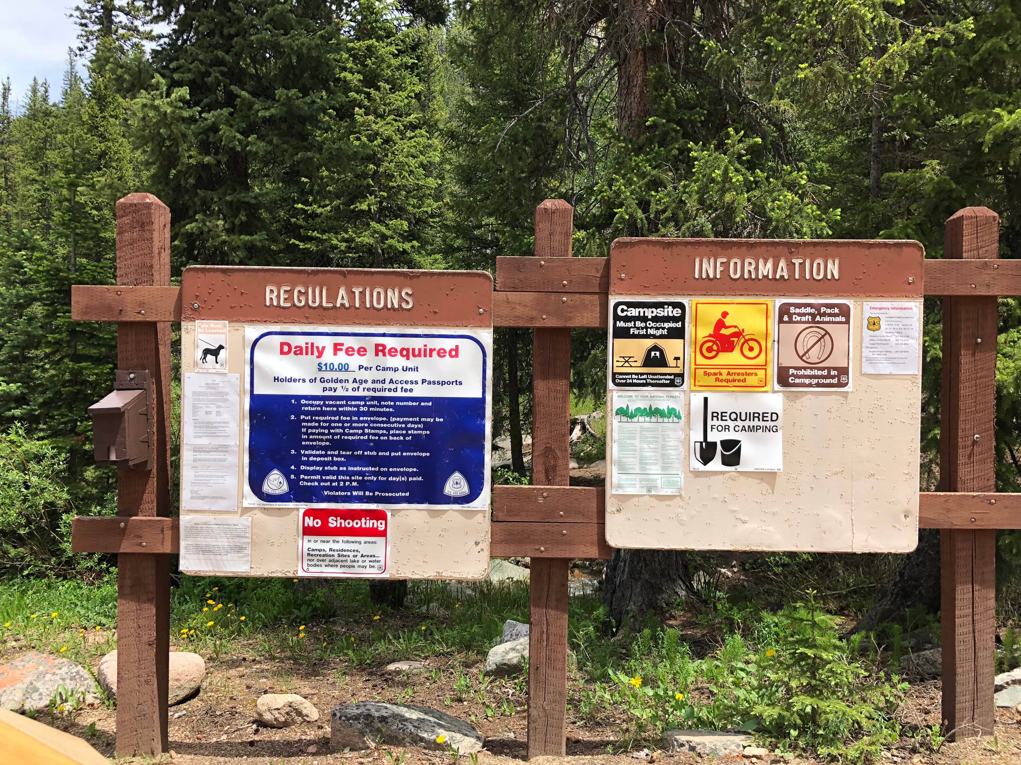 Camper submitted image from Campbell Creek Campground — Medicine Bow Routt N Fs & Thunder Basin Ng - 3