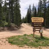 Review photo of Campbell Creek Campground — Medicine Bow Routt N Fs & Thunder Basin Ng by Art S., June 30, 2019