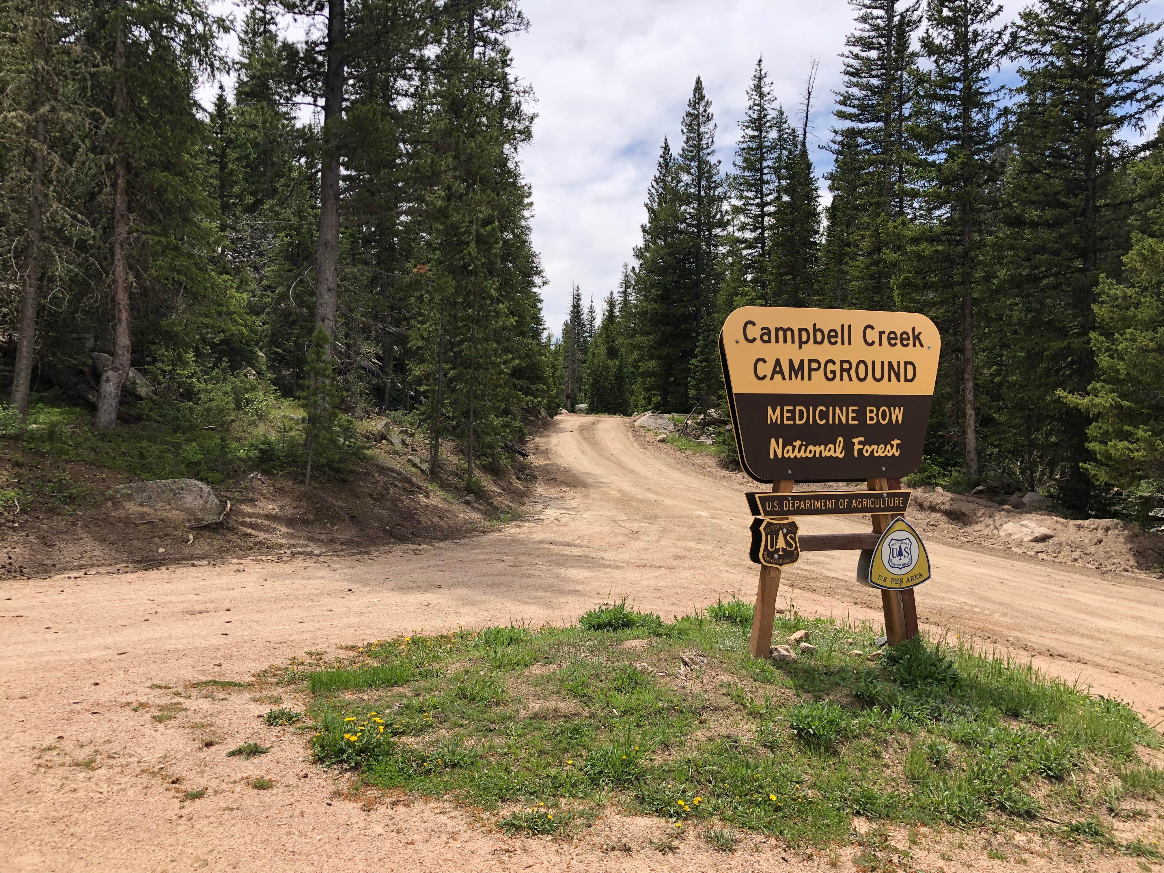 Camper submitted image from Campbell Creek Campground — Medicine Bow Routt N Fs & Thunder Basin Ng - 2