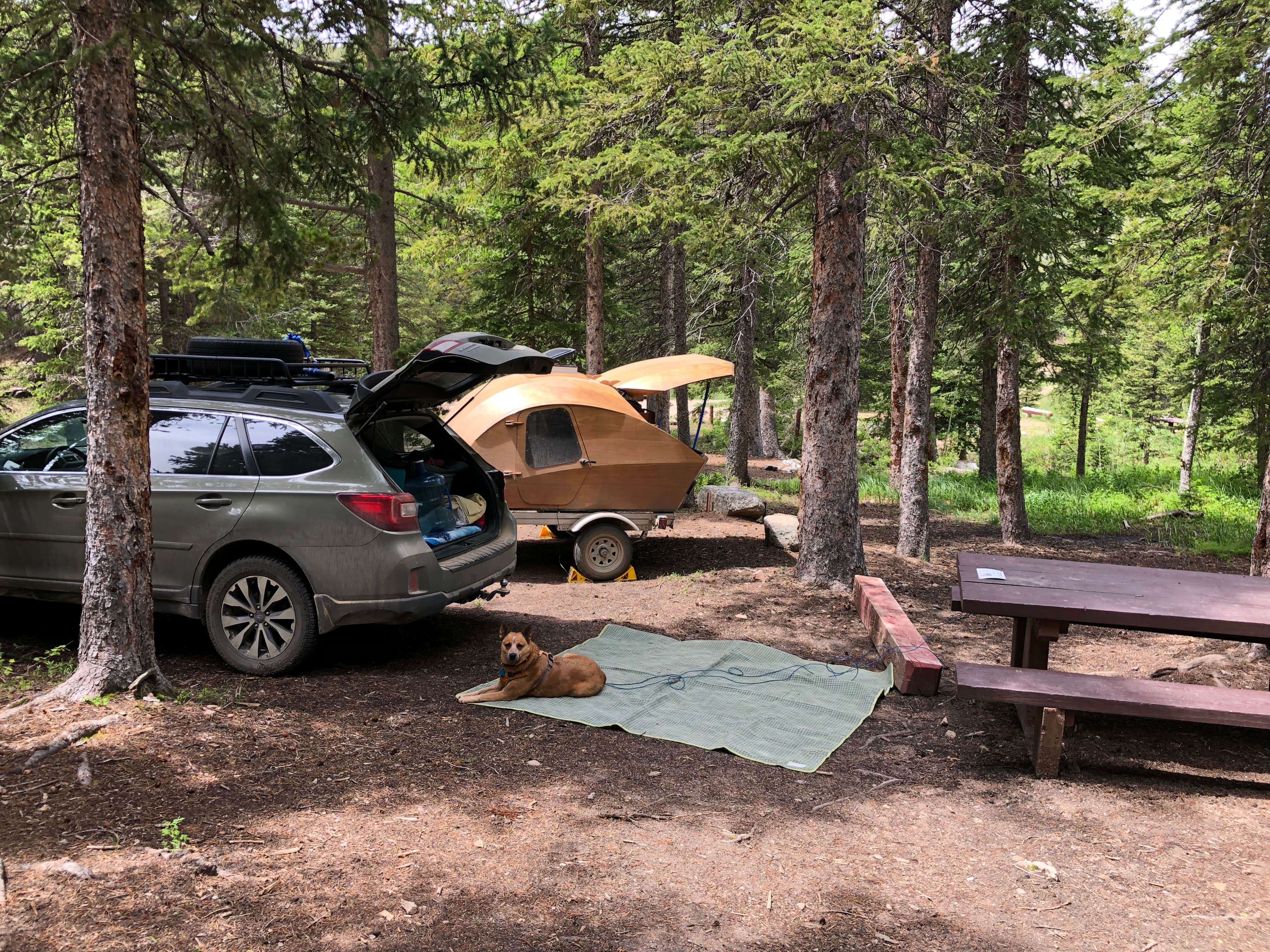 Camper submitted image from Campbell Creek Campground — Medicine Bow Routt N Fs & Thunder Basin Ng - 2