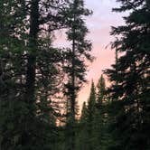 Review photo of Campbell Creek Campground — Medicine Bow Routt N Fs & Thunder Basin Ng by Art S., June 30, 2019