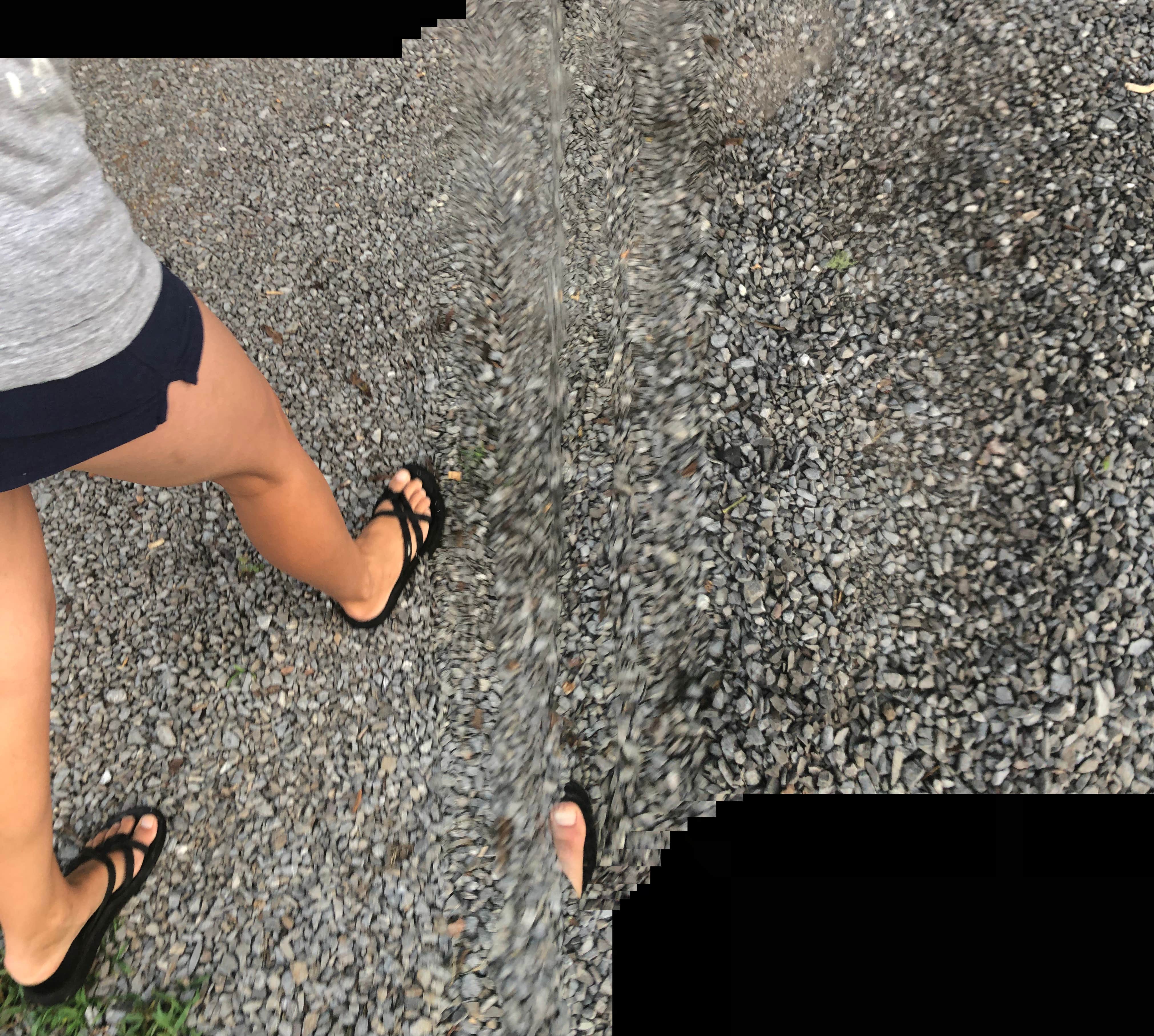 Camper-submitted photo at Douglas Tailwater Campground — Tennessee Valley Authority (TVA) near Kodak, TN