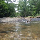 Review photo of Gulpha Gorge Campground — Hot Springs National Park by Molly G., September 5, 2016