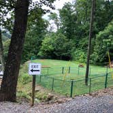 Review photo of Mama Gertie's Hideaway Campground by Erin S., June 30, 2019