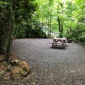 Review photo of Mama Gertie's Hideaway Campground by Erin S., June 30, 2019