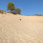 Review photo of Kohler-Andrae State Park by Darren L., June 23, 2019