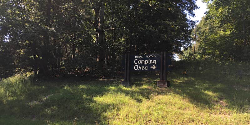 Camper submitted image from Lake Barkley State Resort Park