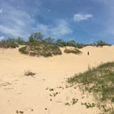 Review photo of Kohler-Andrae State Park by Darren L., June 23, 2019