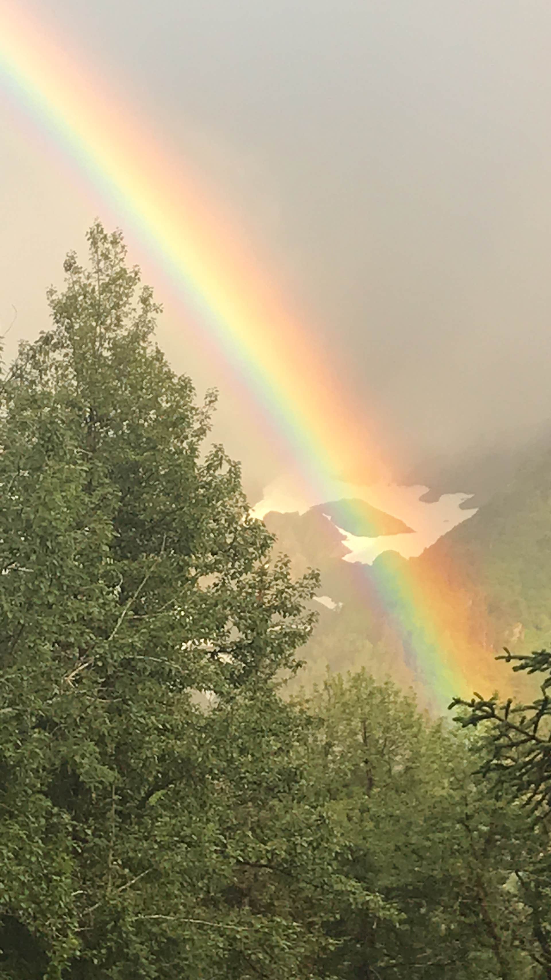 Camper submitted image from Girdwood Campground - 3