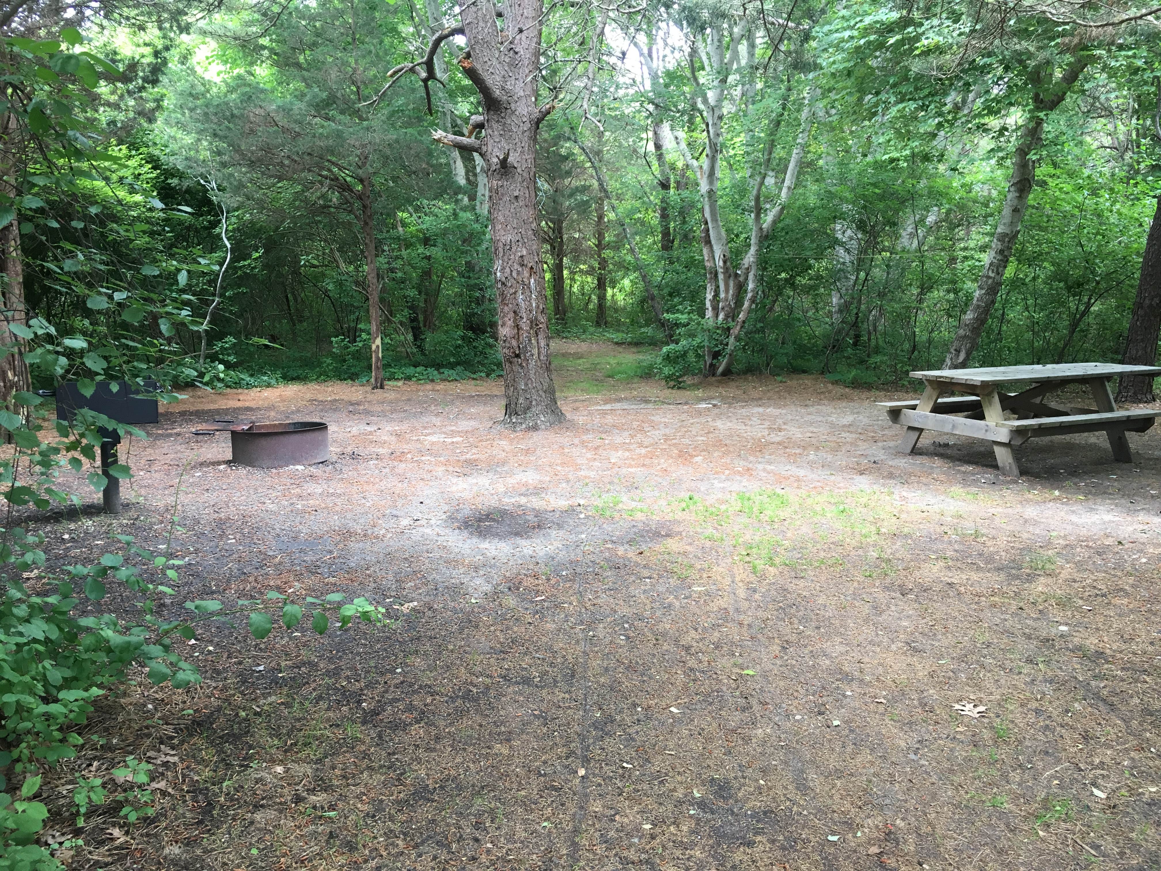 Camper-submitted photo at Scusset Beach State Reservation near South Chatham, MA